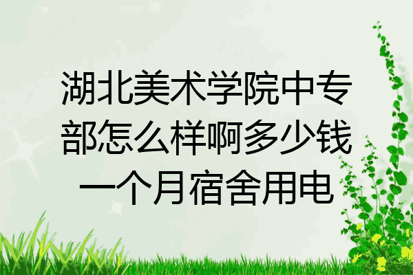 湖北美术学院中专部怎么样啊多少钱一个月宿舍用电