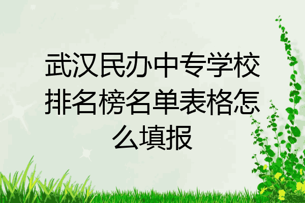 武汉民办中专学校排名榜名单表格怎么填报
