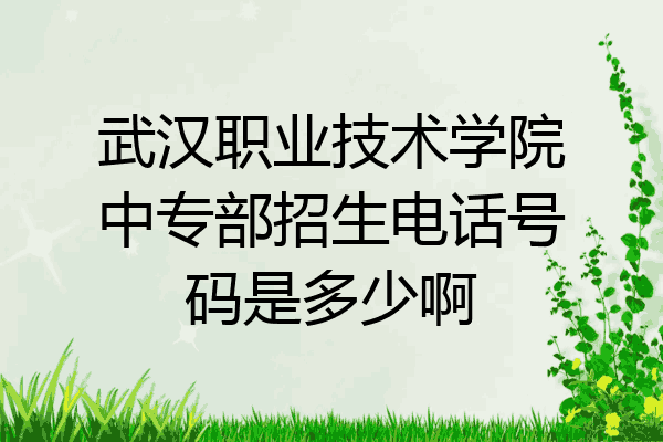 武汉职业技术学院中专部招生电话号码是多少啊