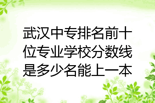 武汉中专排名前十位专业学校分数线是多少名能上一本