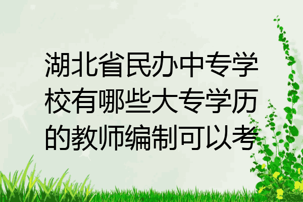 湖北省民办中专学校有哪些大专学历的教师编制可以考