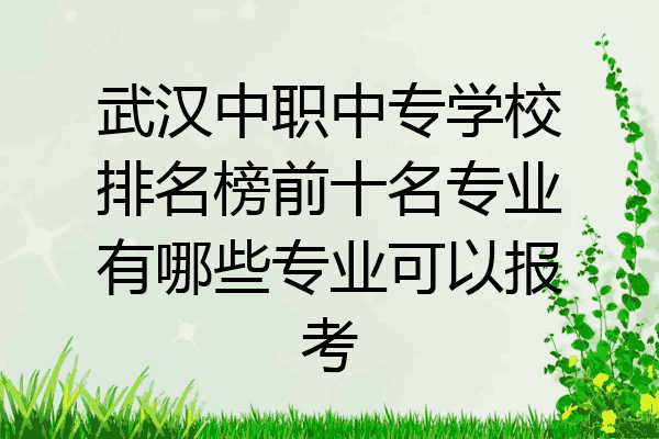 武汉中职中专学校排名榜前十名专业有哪些专业可以报考