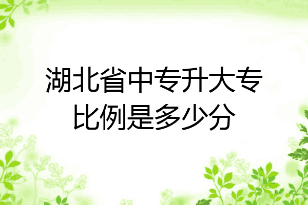 湖北省中专升大专比例是多少分