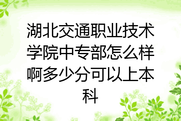 湖北交通职业技术学院中专部怎么样啊多少分可以上本科