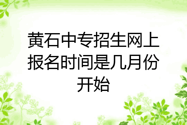 黄石中专招生网上报名时间是几月份开始
