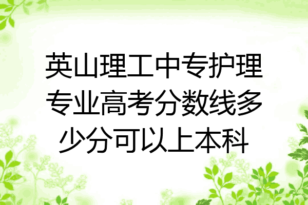 英山理工中专护理专业高考分数线多少分可以上本科
