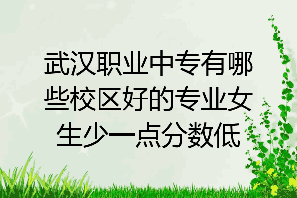 武汉职业中专有哪些校区好的专业女生少一点分数低