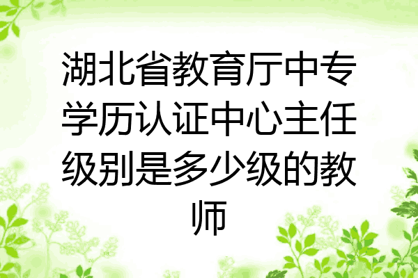 湖北省教育厅中专学历认证中心主任级别是多少级的教师