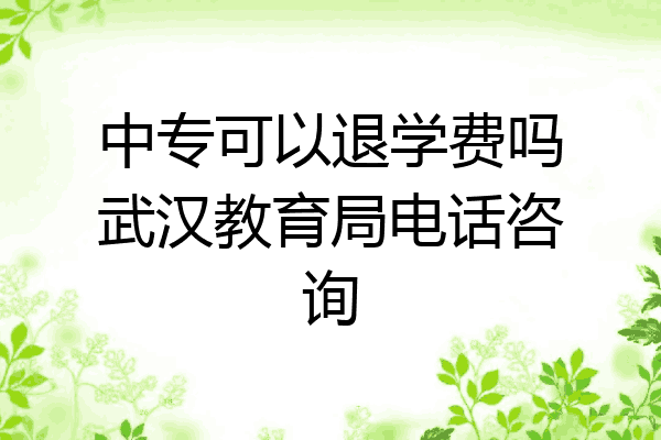 中专可以退学费吗武汉教育局电话咨询