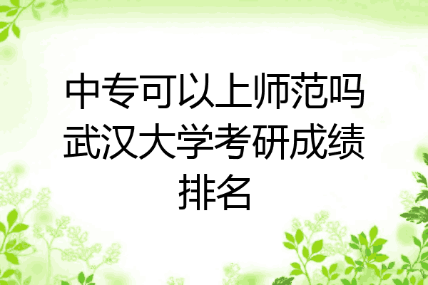 中专可以上师范吗武汉大学考研成绩排名