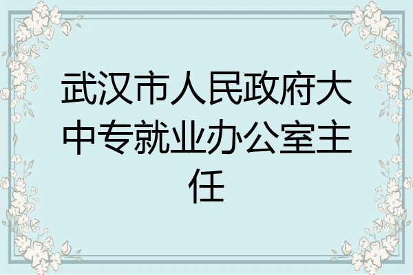 武汉市人民政府大中专就业办公室主任