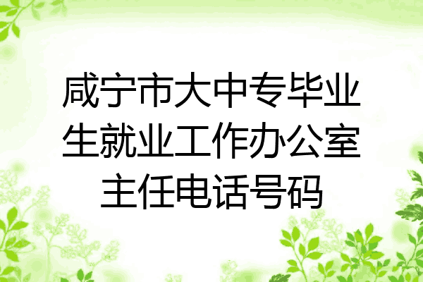 咸宁市大中专毕业生就业工作办公室主任电话号码