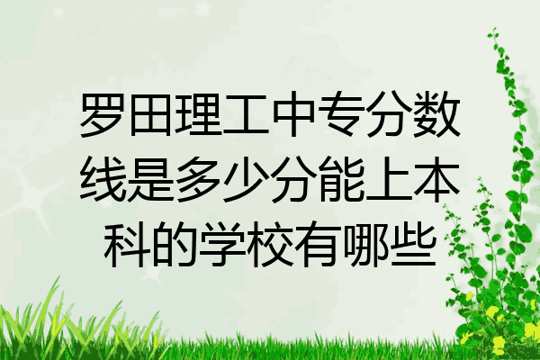 罗田理工中专分数线是多少分能上本科的学校有哪些