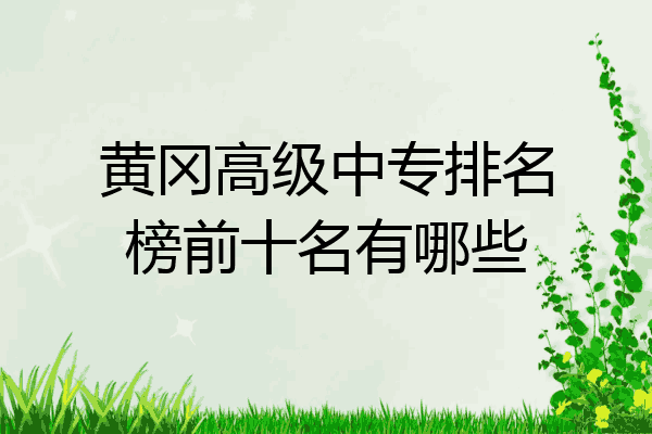 黄冈高级中专排名榜前十名有哪些
