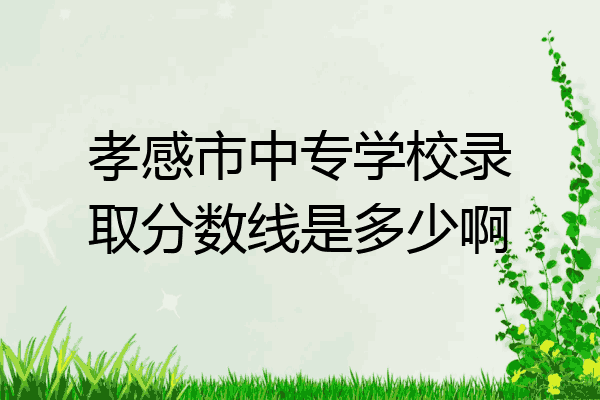 孝感市中专学校录取分数线是多少啊