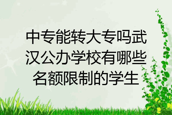 中专能转大专吗武汉公办学校有哪些名额限制的学生