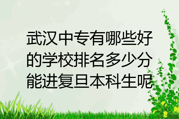 武汉中专有哪些好的学校排名多少分能进复旦本科生呢