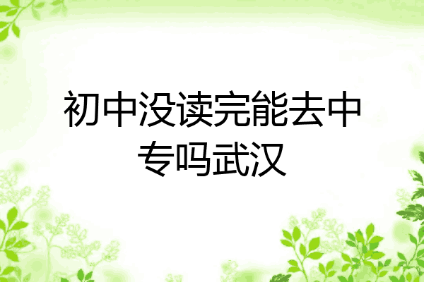 初中没读完能去中专吗武汉