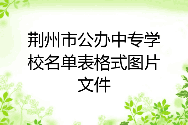 荆州市公办中专学校名单表格式图片文件