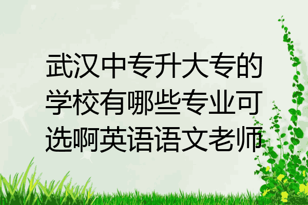 武汉中专升大专的学校有哪些专业可选啊英语语文老师
