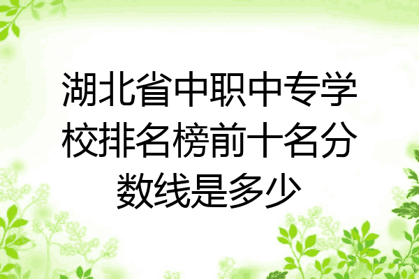 湖北省中职中专学校排名榜前十名分数线是多少