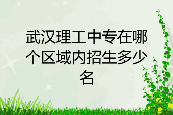 武汉理工中专在哪个区域内招生多少名