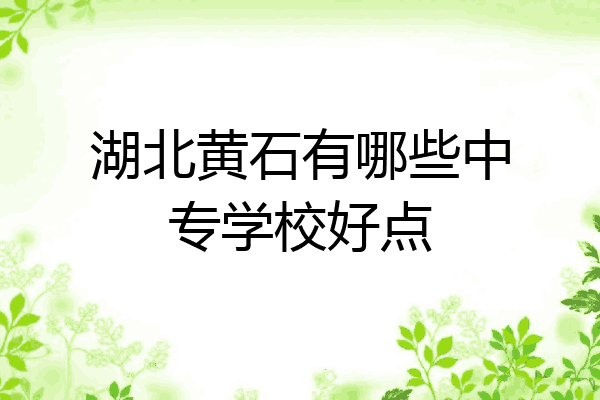 湖北黄石有哪些中专学校好点