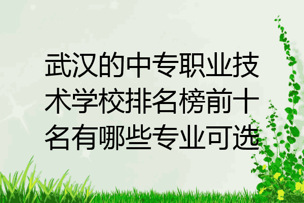 武汉的中专职业技术学校排名榜前十名有哪些专业可选
