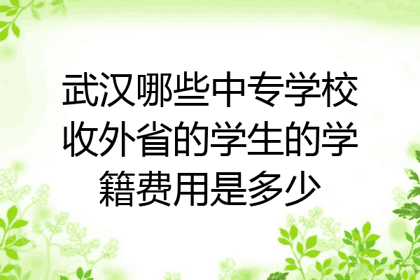武汉哪些中专学校收外省的学生的学籍费用是多少