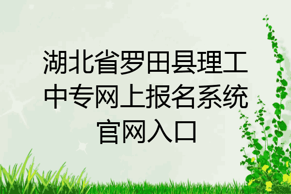湖北省罗田县理工中专网上报名系统官网入口