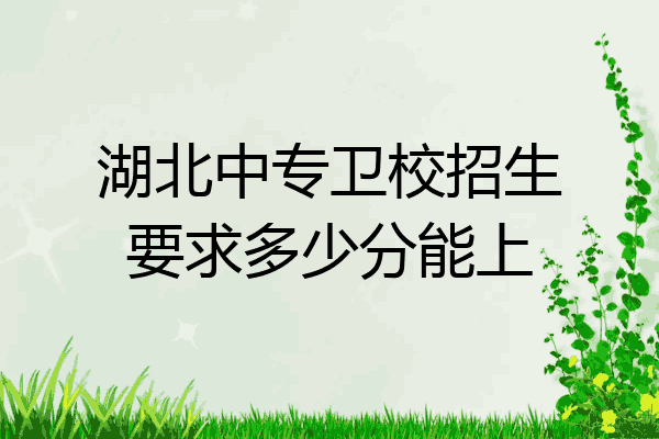 湖北中专卫校招生要求多少分能上
