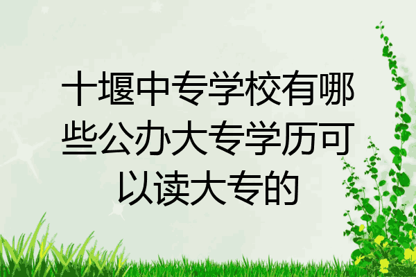 十堰中专学校有哪些公办大专学历可以读大专的