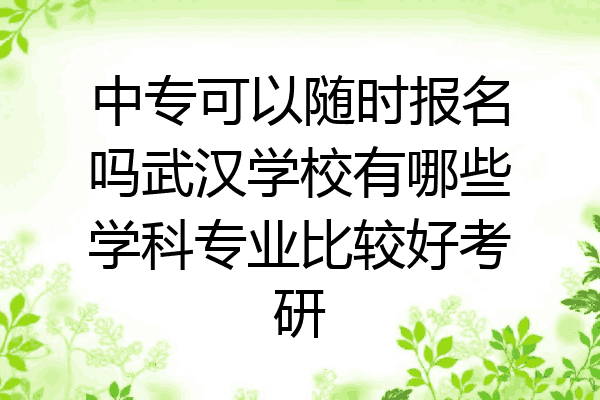 中专可以随时报名吗武汉学校有哪些学科专业比较好考研