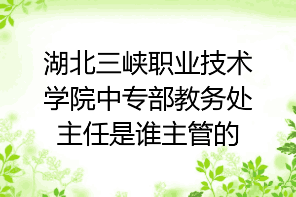 湖北三峡职业技术学院中专部教务处主任是谁主管的