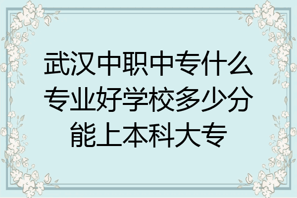 武汉中职中专什么专业好学校多少分能上本科大专
