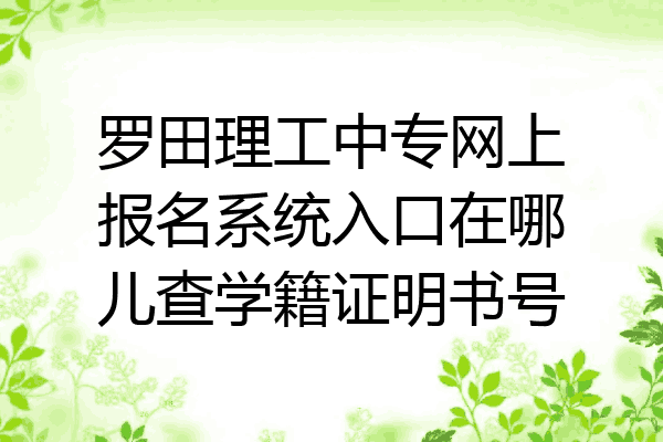 罗田理工中专网上报名系统入口在哪儿查学籍证明书号