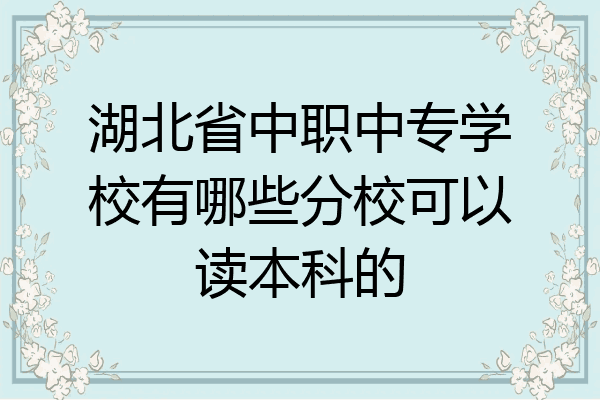 湖北省中职中专学校有哪些分校可以读本科的