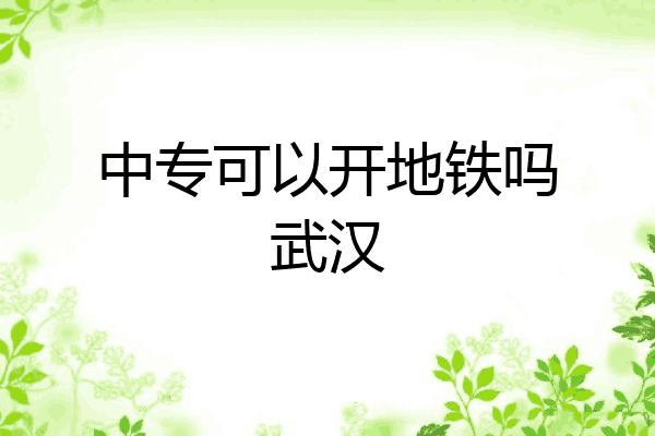 中专可以开地铁吗武汉