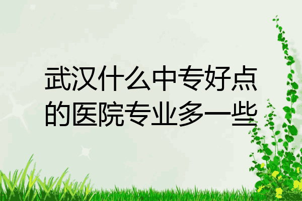 武汉什么中专好点的医院专业多一些