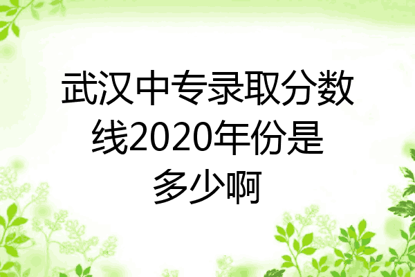 武汉中专录取分数线2020年份是多少啊