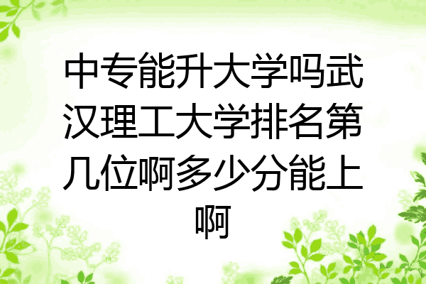 中专能升大学吗武汉理工大学排名第几位啊多少分能上啊