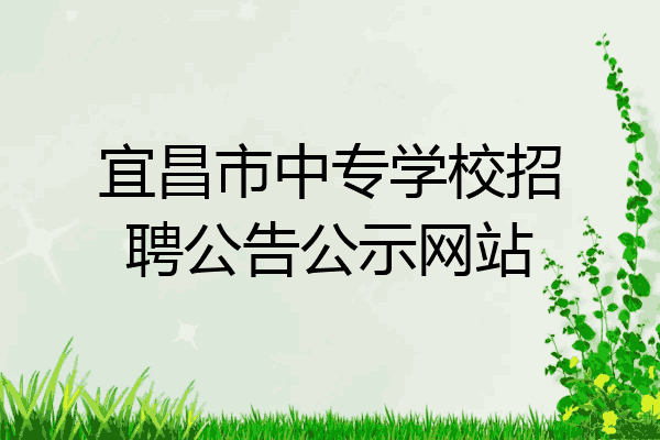 宜昌市中专学校招聘公告公示网站
