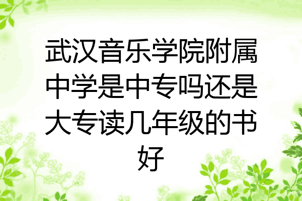 武汉音乐学院附属中学是中专吗还是大专读几年级的书好