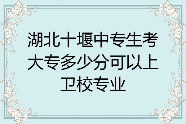 湖北十堰中专生考大专多少分可以上卫校专业