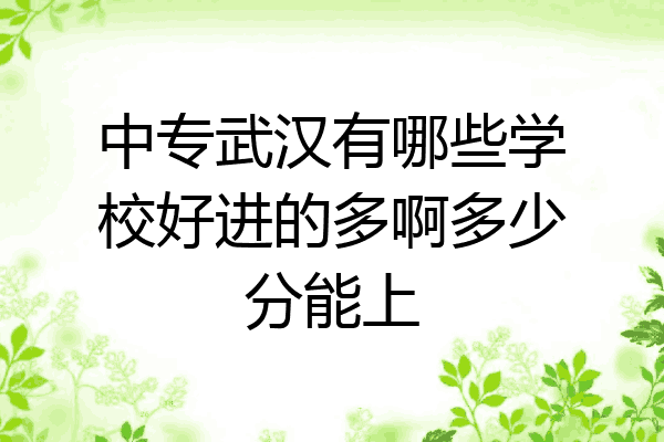中专武汉有哪些学校好进的多啊多少分能上