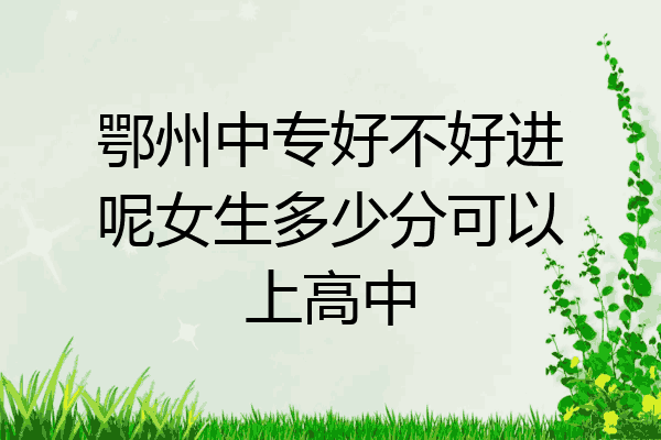 鄂州中专好不好进呢女生多少分可以上高中