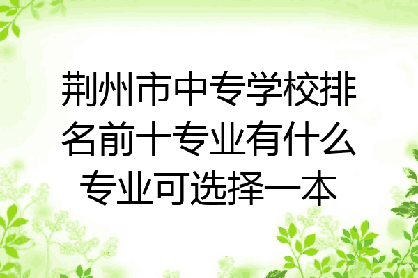 荆州市中专学校排名前十专业有什么专业可选择一本