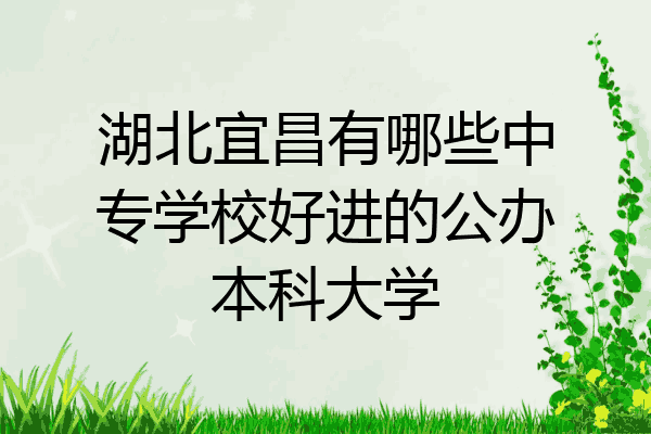 湖北宜昌有哪些中专学校好进的公办本科大学
