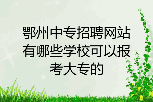 鄂州中专招聘网站有哪些学校可以报考大专的