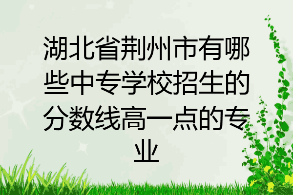 湖北省荆州市有哪些中专学校招生的分数线高一点的专业